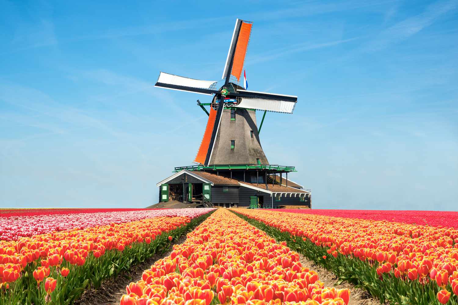 holanda 6