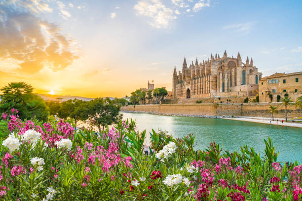 Cathedral La Seu at sunet time, Palma de Mallorca islands, Spain