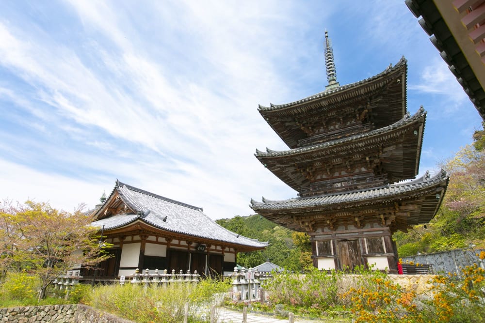 Nara 1